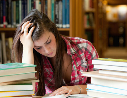 Web Designing & HTML5/CSS3